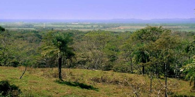 Costa_Rica_Vacant_Lot_3.jpg
