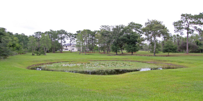 EstateRanchBrooksvilleFL.jpg